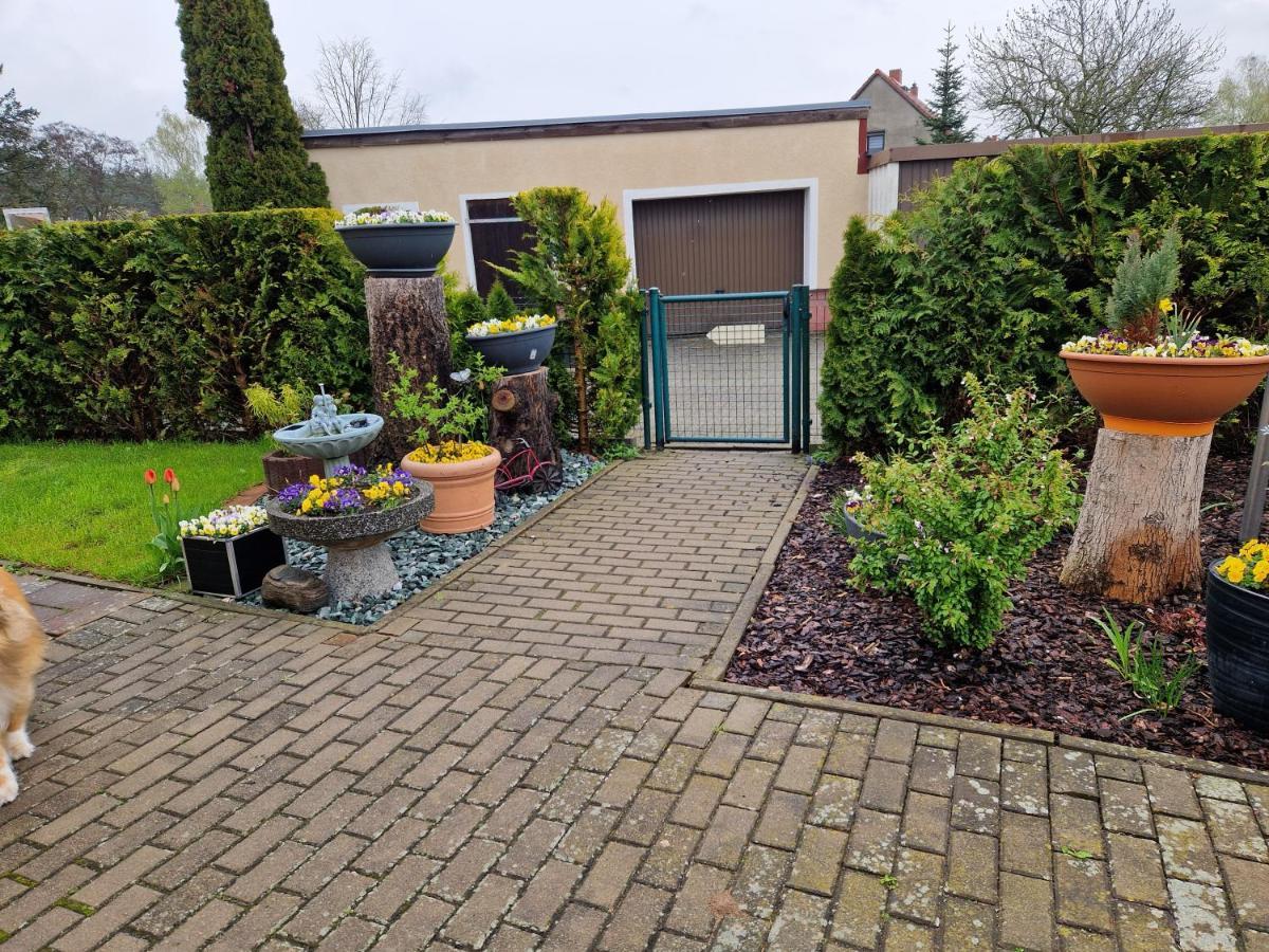 Ferienhaus Schneider Wulkau Eksteriør billede